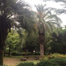 한라도니 이미지