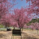 김철농장 이미지