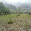 백두상가 이미지