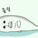 엘티이 이미지