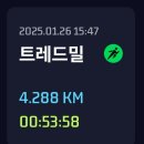 마이디데이 브로멜라인 | 직장인 다이어트 후기_4주차_내돈내산