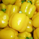 치악산농장 이미지