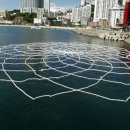 꿈바라기 이미지