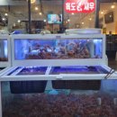 부촌튀김 | 대구 독도새우 맛집 복현동 부촌회타운 내돈내산 (20만원어치 꽃새우·닭새우 솔직후기)