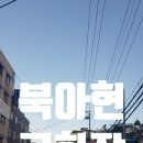 금화장 이미지