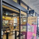 13번째고양이 이미지