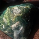 논산시 동물보호센터 이미지