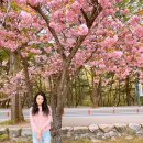 2023.04.14(어린이집+유치원+금오산+서울365소아청소년과의원)