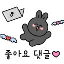 땅끝전마니 이미지