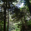 독자봉 | [제주오름 산책 후기] 대수산봉 (큰물메)