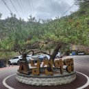 덕유대7영지매점 | 소백산 남천야영장 - 깊은 산속 계곡 캠핑장에 어서오세요