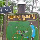 군북-5 Daum카페