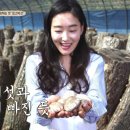 도은농장 이미지