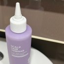 헤어허브랩 | 정직한실험실 트루랩 스칼프 헤어 식초 두피스케일링으로 여름 두피 관리 후기