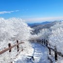 태백산 공원휴게소 이미지