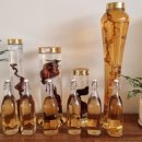 장씨삼형제하수오삼계탕 이미지