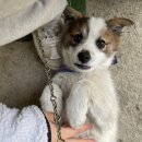 윤자네참닭갈비 | 2022 5월 절반 일상1