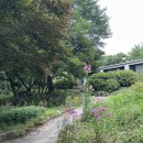 단강리민박 | 원주 맛집 농부가｜내돈내산 나만의 미슐랭 팜투테이블 뽕잎밥 한정식 코스요리｜원주 당일치기 여행...