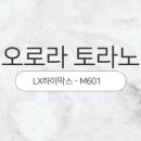 오로라의원 네이버블로그