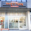 구미강아지 무료분양 퍼피이벤트 | 칠곡군강아지분양, 체계가 확실하게 정해져 있는 곳 : 대구강아지분양 홍스퍼피