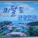 파도사랑 민박 이미지