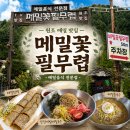 메밀꽃필무렵 | [강원도 평창] 평창 봉평 메밀국수를 찾는다면? 소문난 맛집 '메밀꽃필무렵' 내돈내산 솔직 후기