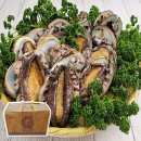 완도10호 이미지