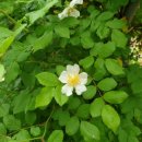 홍천산골놀이터 이미지