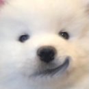 STUDIO4BPM 이미지