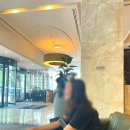 더호텔(the hotel) | [더 시드니 블러바드 호텔 The Sydney Boulevard Hotel] 내돈내산 숙소 후기, 추천