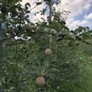 명선농장 이미지