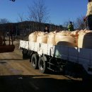 알티에스 이미지