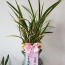 대영기공사 이미지