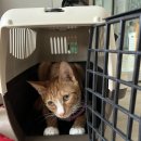 밀양동물메디컬센터 이미지