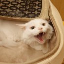 묘한호텔 이미지