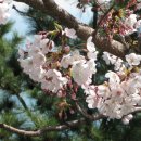 하늘아래첫집 이미지