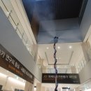 생활방역지킴이
