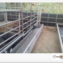 김재근농장 이미지