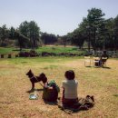 열린목장 이미지