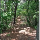 현진주유소 이미지