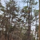 절골약수터 이미지