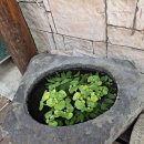 국립민속박물관 전시 - 사진관 전성시대 이미지