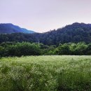 서봉 티스토리