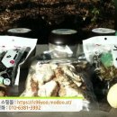 랜드팜법인