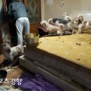 유천1동 행정복지센터 이미지