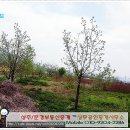상주문경교차로