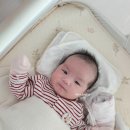 한덕목장 | 제왕절개후기 신생아 분유추천 제왕 분유 갈아타기