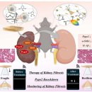 이화산소(주) 이미지