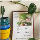 나은플라워 이미지