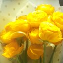 복덩이떡볶이 이미지